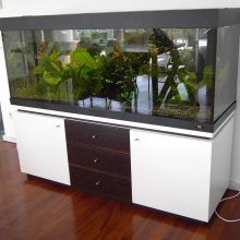 Aquariumschrank weiss-Wenge